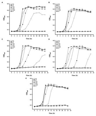 Inhibition of Biofilm Formation and Related Gene Expression of Listeria monocytogenes in Response to Four Natural Antimicrobial Compounds and Sodium Hypochlorite